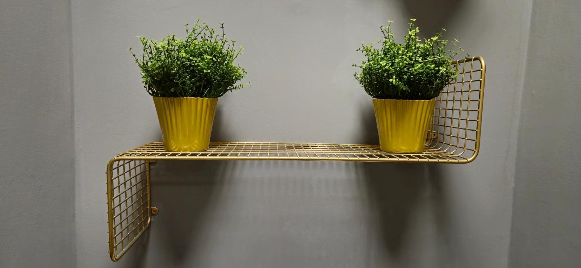 Eden's Golden Gallery Loft Apartamento *